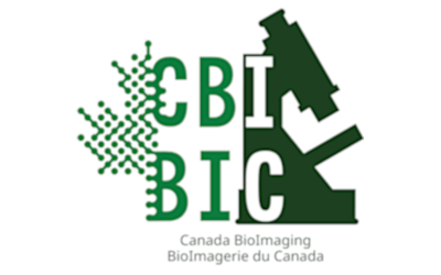 CBI-BIC-Logo