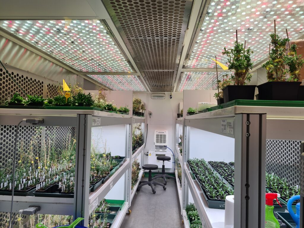 Plant imaging facility at CEITEC Cellim, part of our Brno Node.