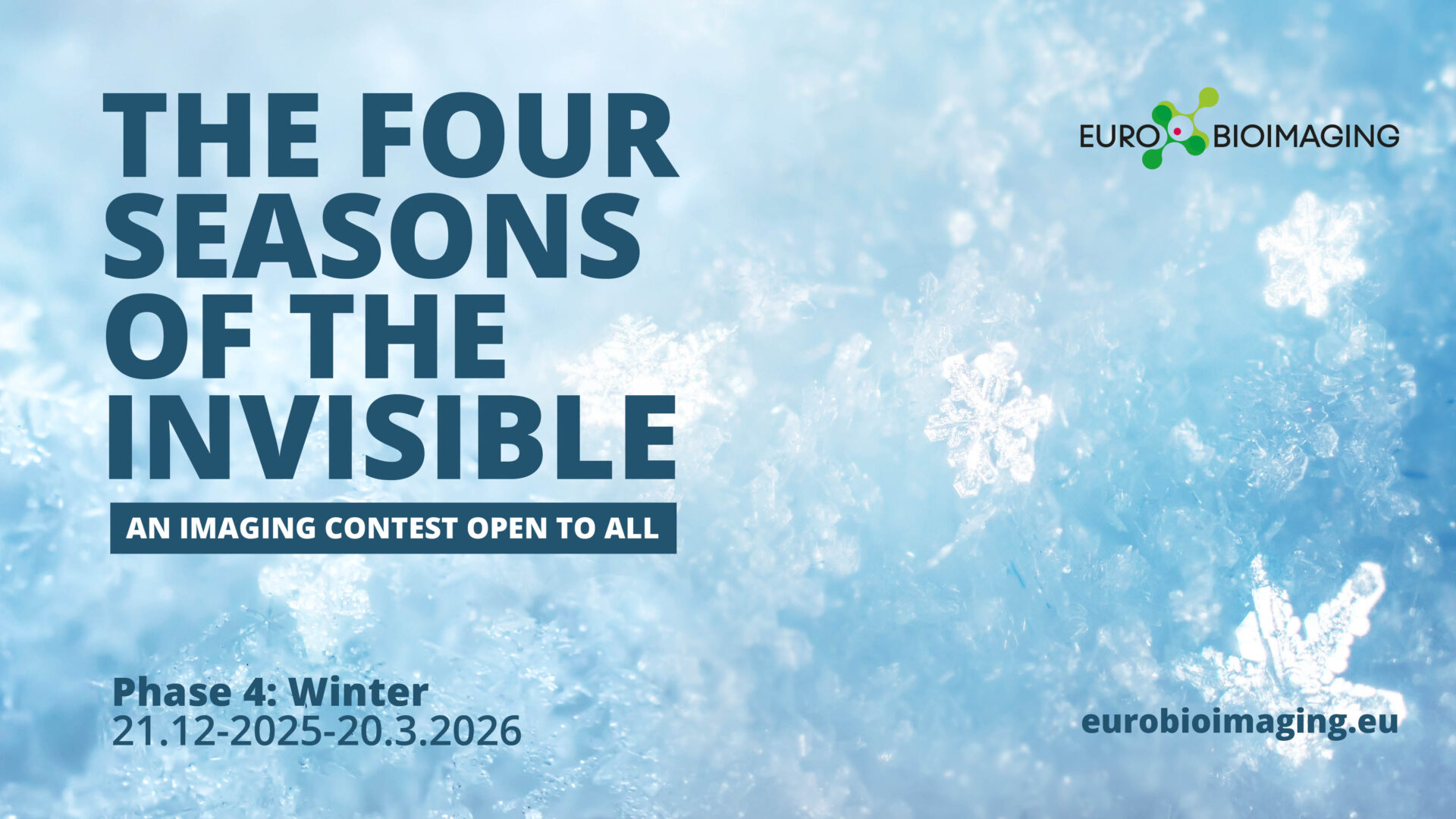 Four Seasons of the Invisible / Winter 2025