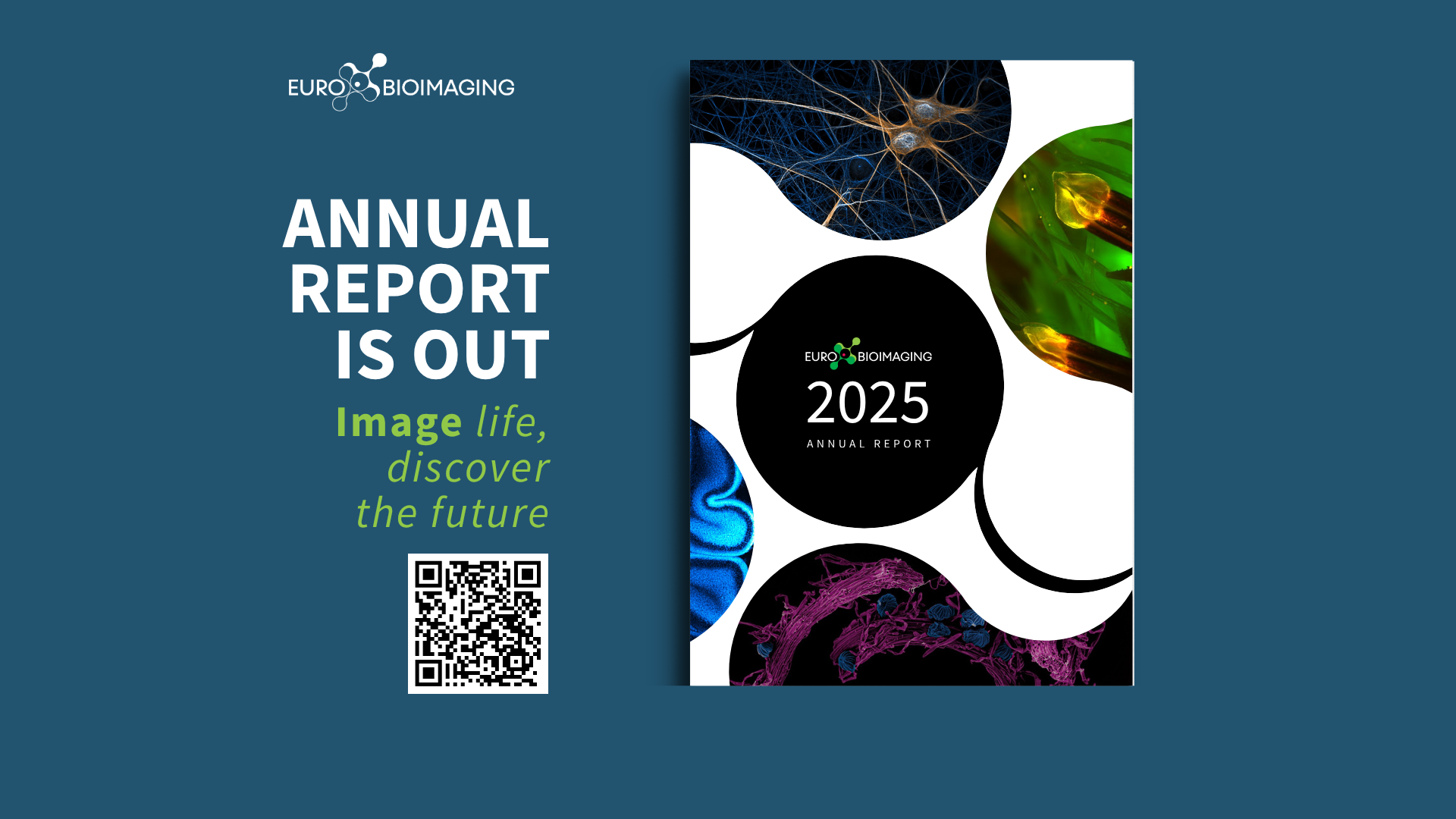 Euro-BioImaging Annual Report 2025