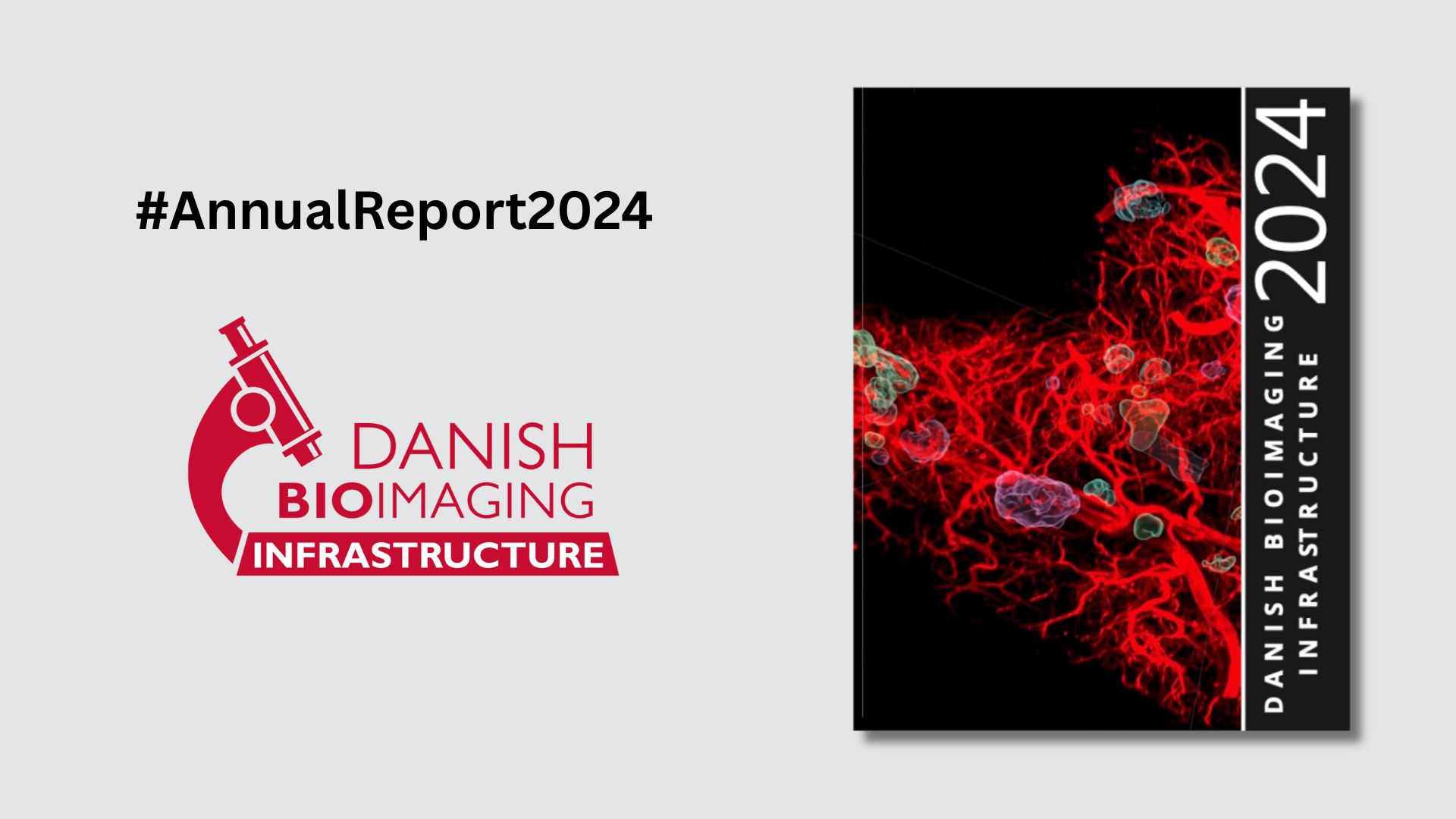 Danish BioImaging Annual Report
