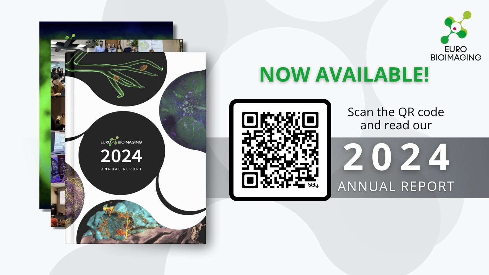 Annual Report 2024