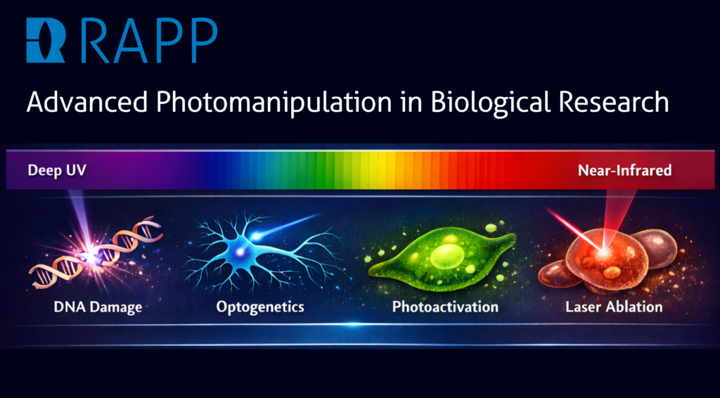 Advanced Photomanipulation in Biological Research 