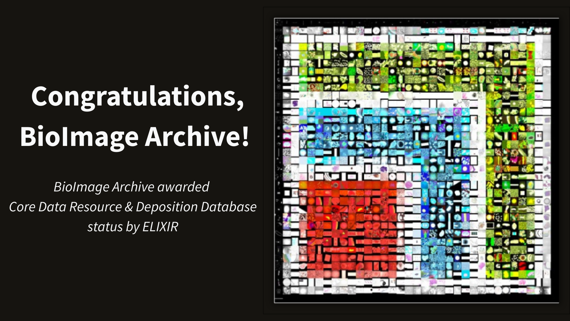 Congratulations BioImage Archive