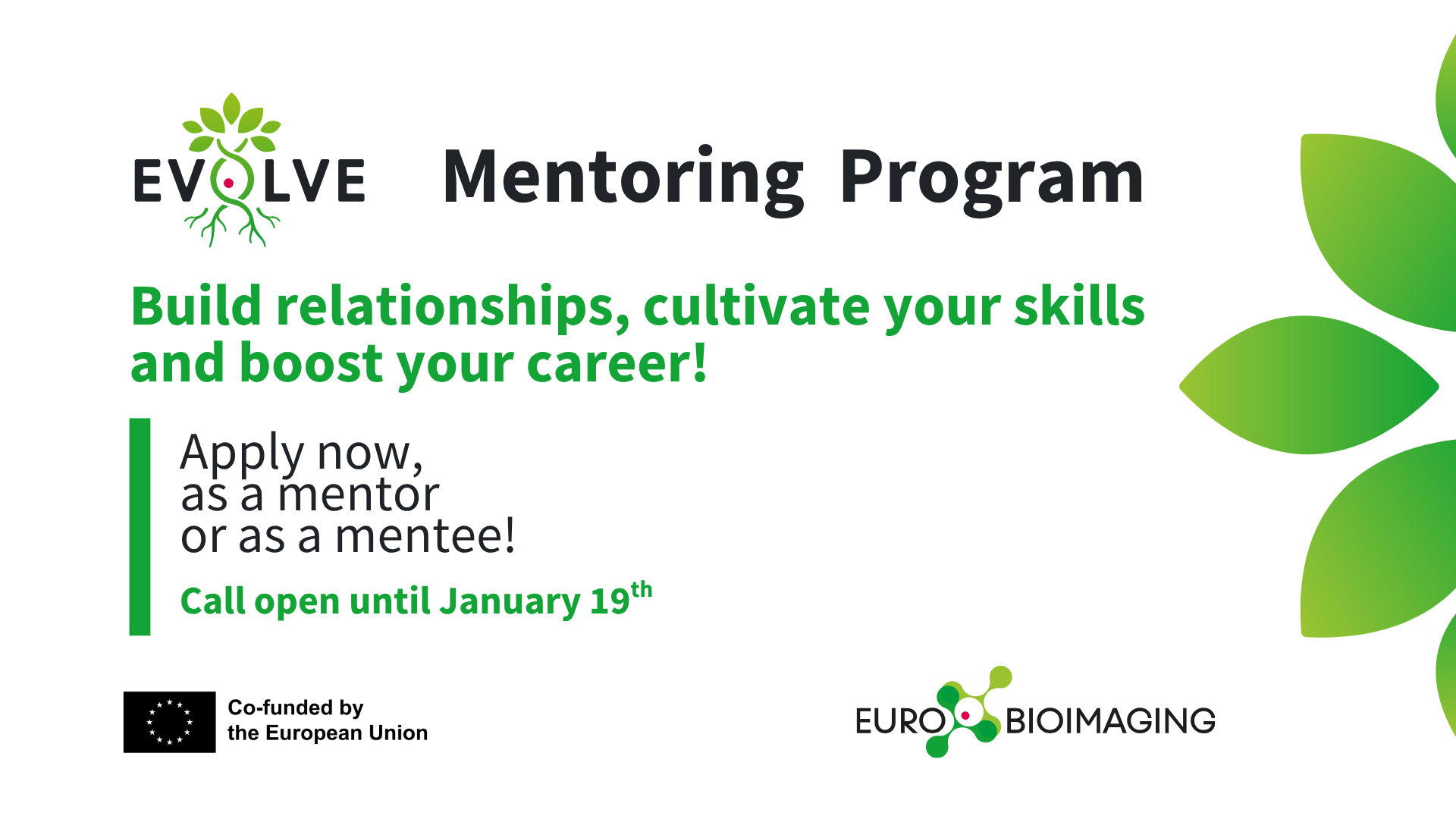 Mentoring programme
