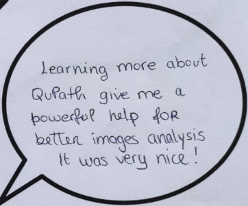 Feedback from the course