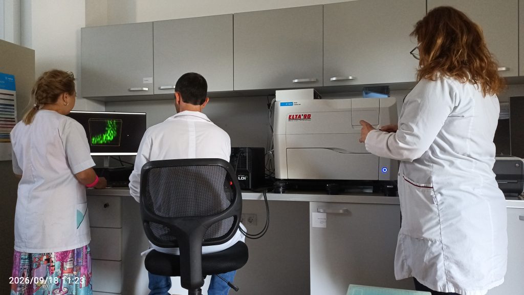 Team of people doing sample prep
