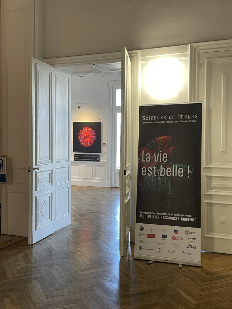 poster in front of a door to advertise a microscopy exhibit