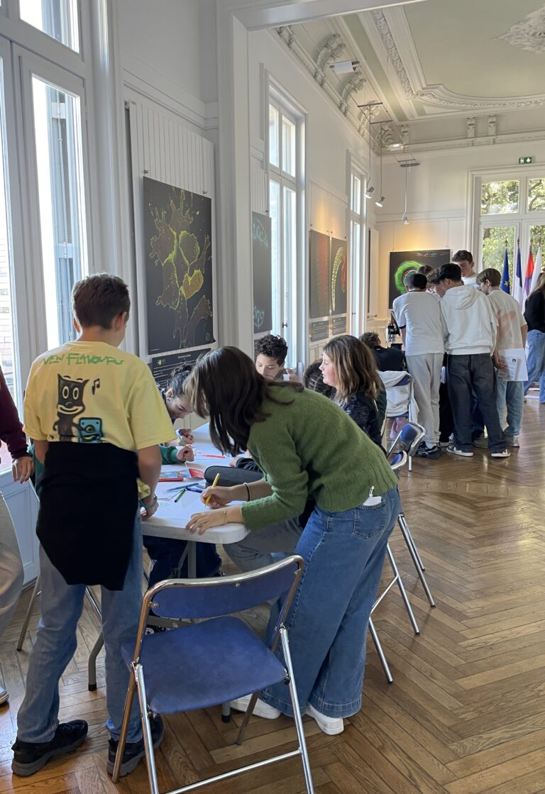 children participating in a workshop on microscopy