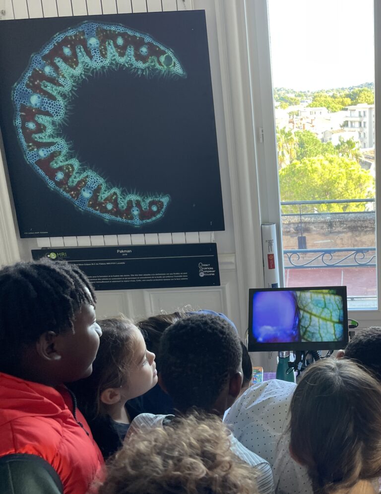 children participating in a workshop on microscopy