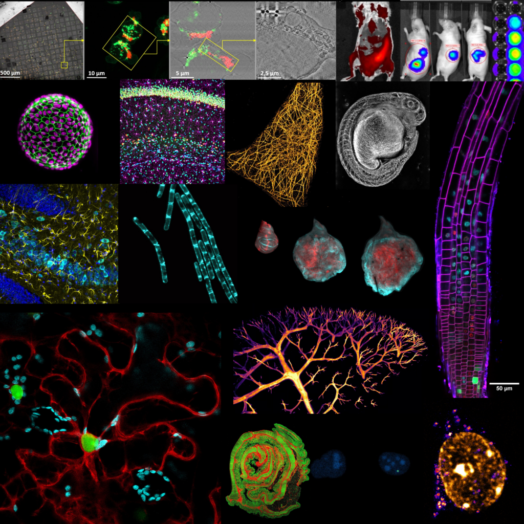 A selection of images from the MAdMiC Node