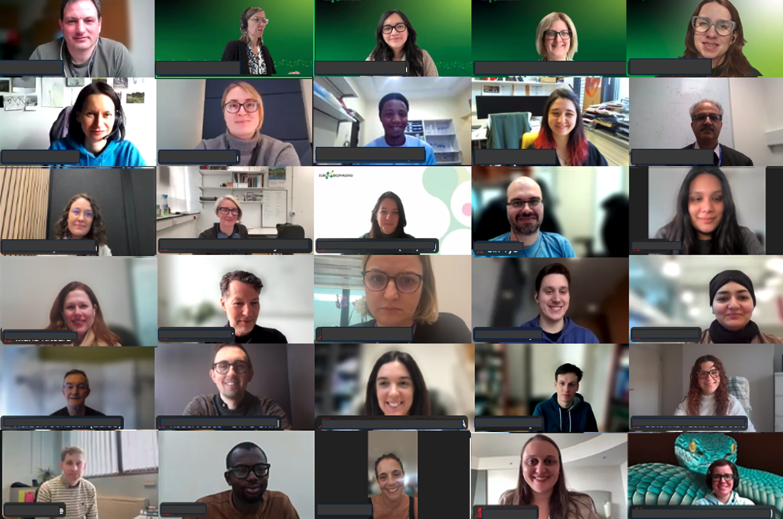 Screenshot of the kick off meeting for the Mentoring programme 2026