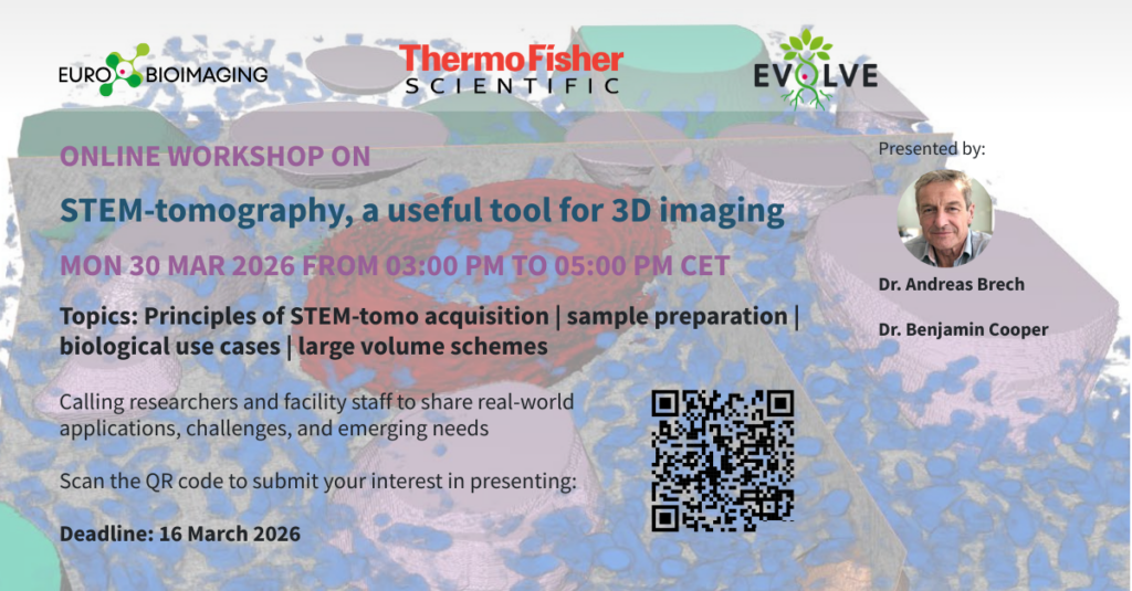 Flyer announcing the workshop