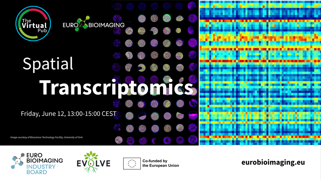Special Edition Virtual Pub Spatial Transcriptomics