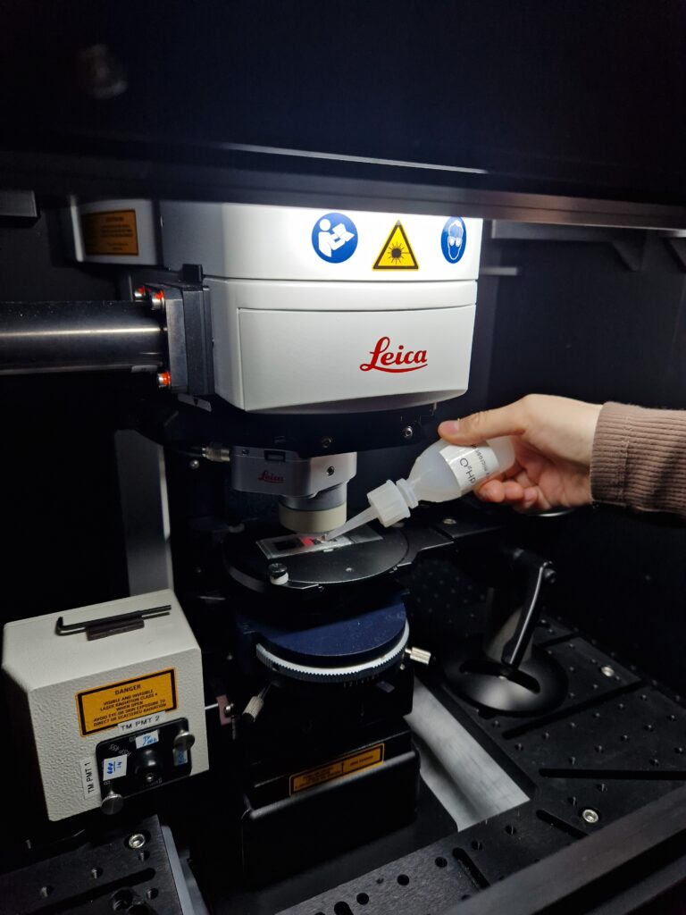 Photo of a Multiphoton microscope.