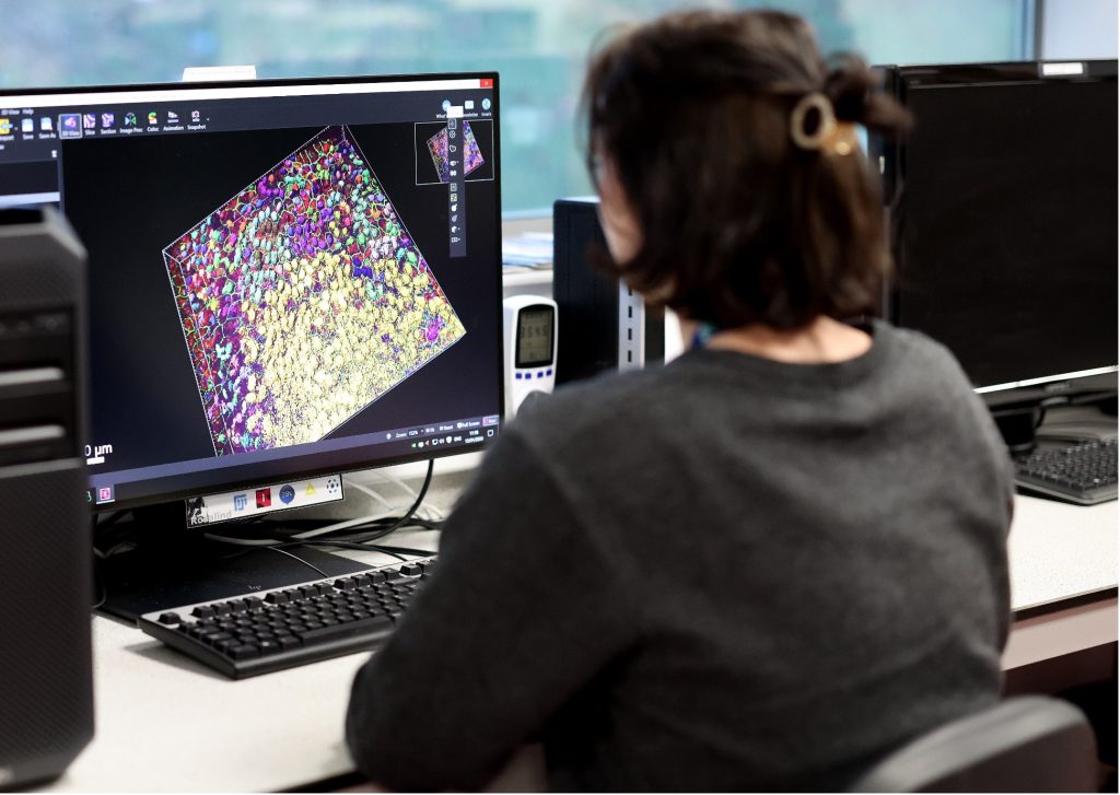 A user performs data analysis at University of Liverpool.