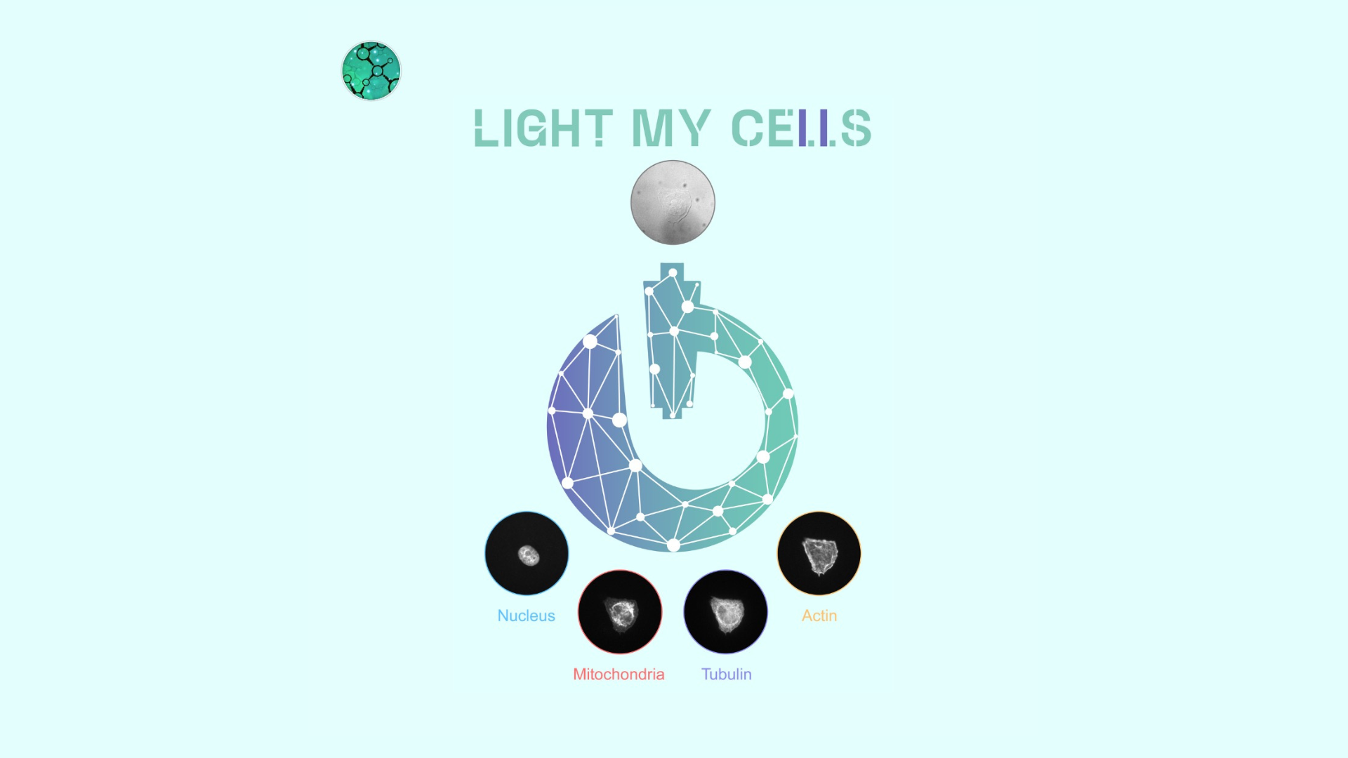 Light My Cells 2 poster