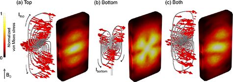 Lorentz force (red arrows) and heatmaps of stress in the TMS coil array