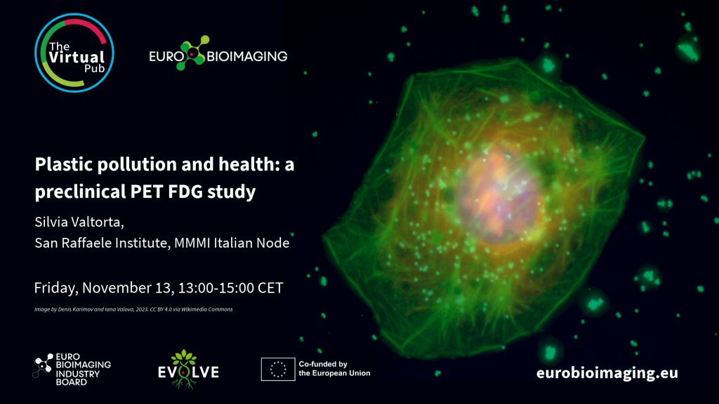 Poster to advertise Silvia Valtorta's talk