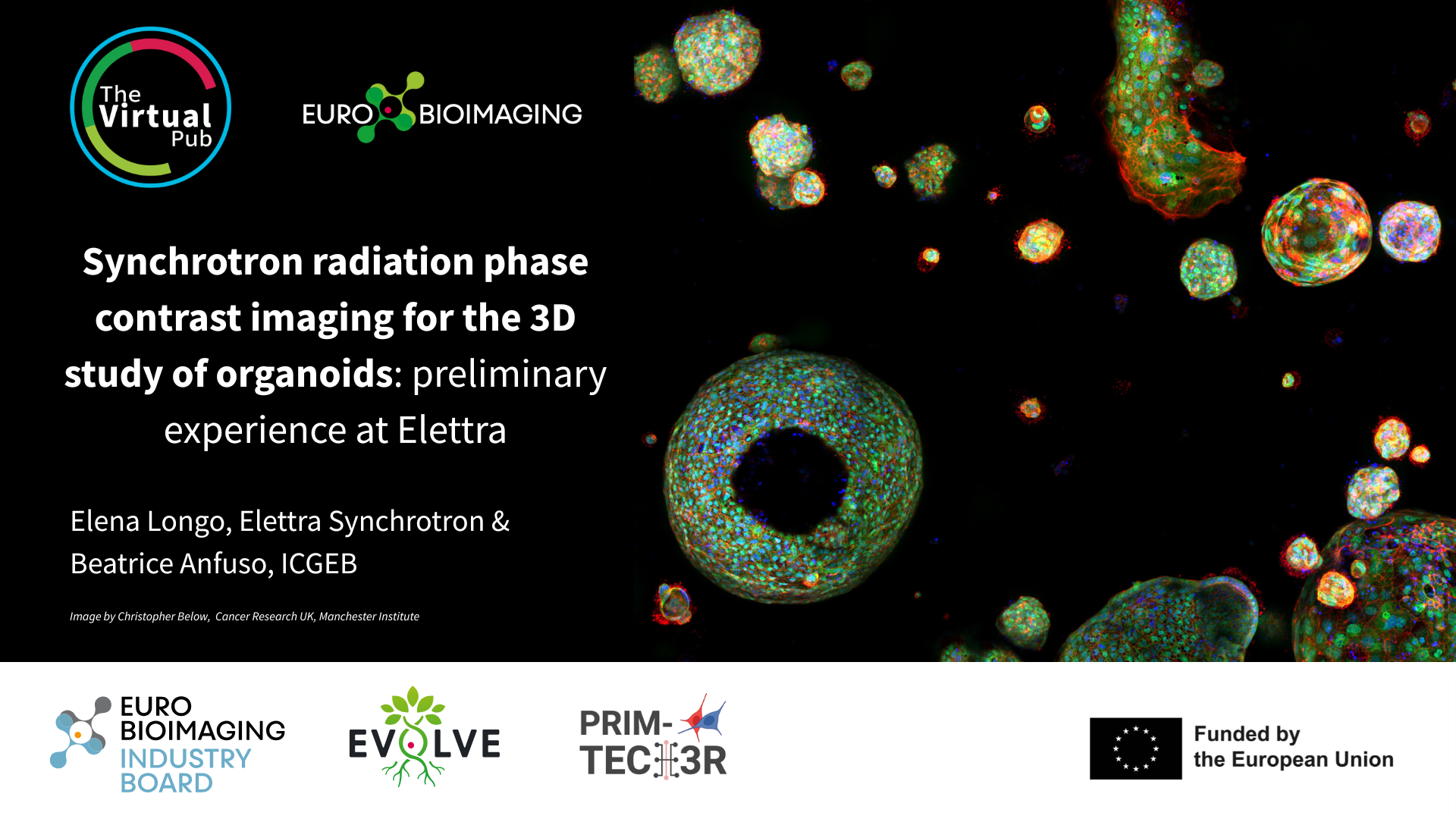 Special Edition Virtual Pub Elettra