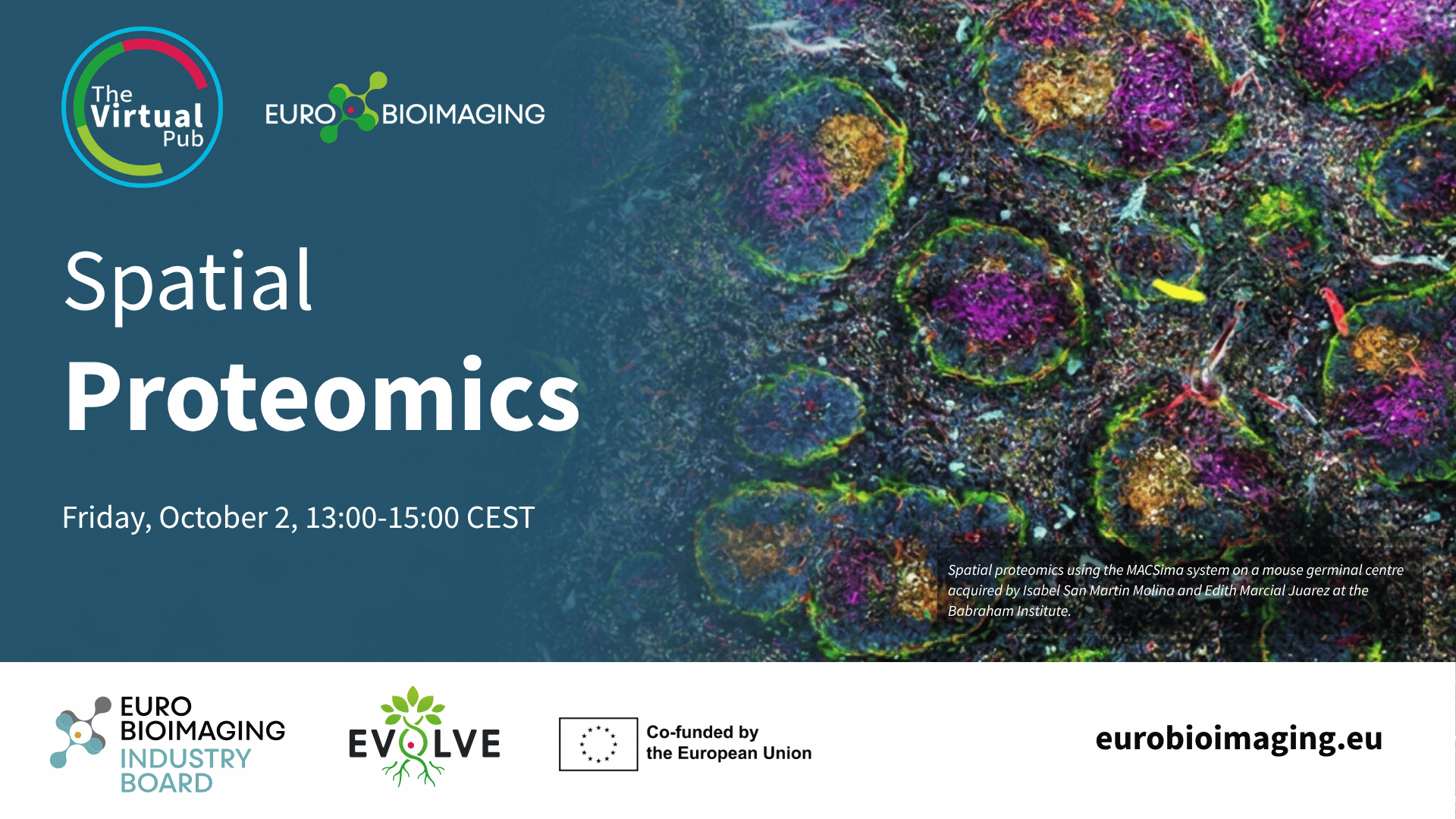Spatial Proteomics