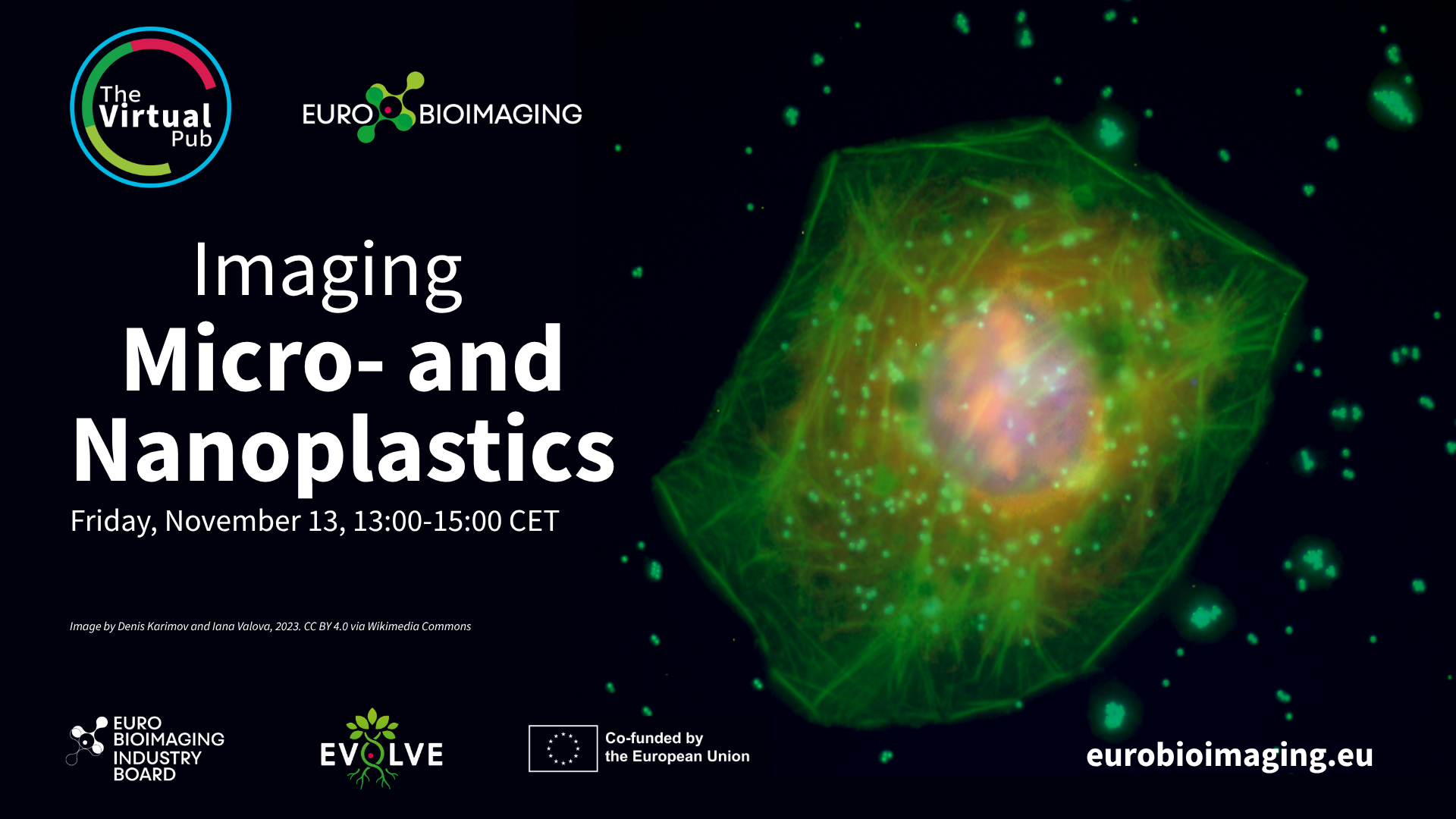 Imaging in Micro- and Nanoplastics