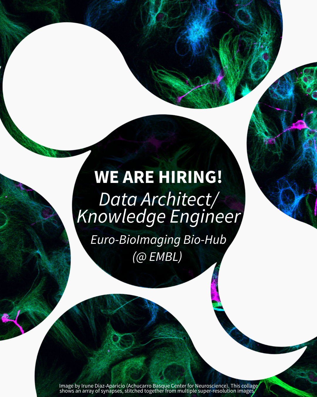 We are hiring a Data Architect/Knowledge Engineer