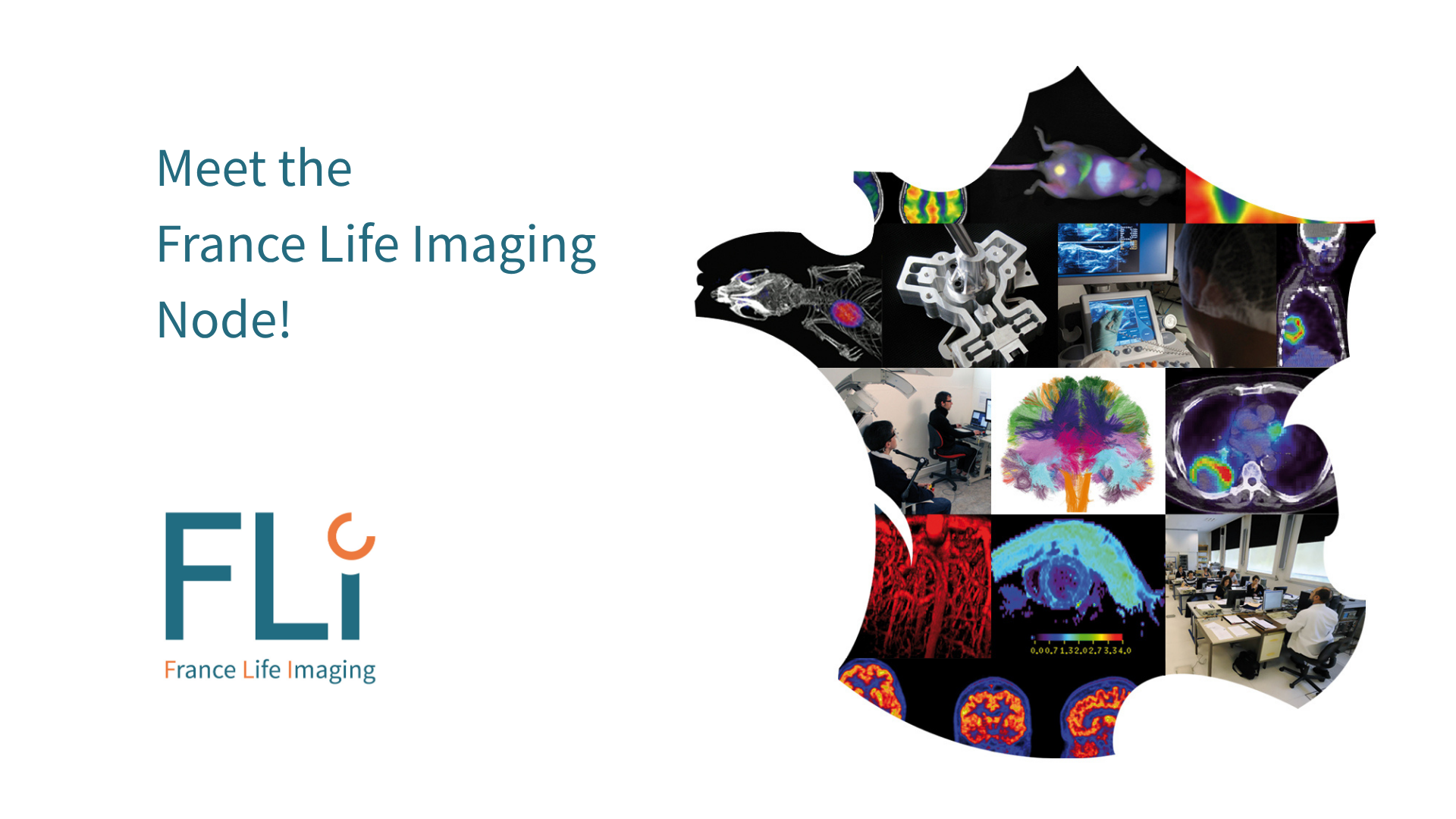 France Life Imaging