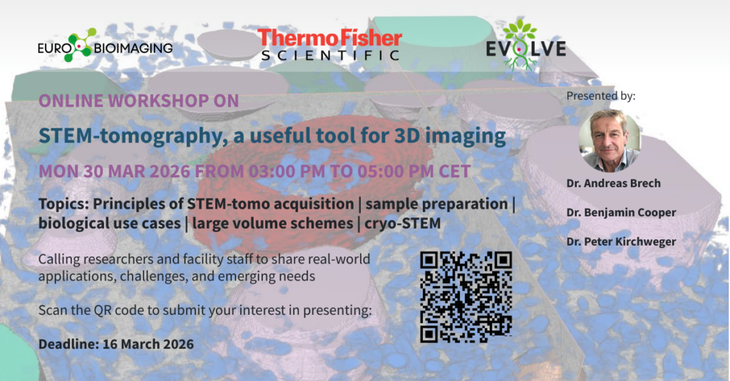 Flyer announcing the STEM tomography workshop