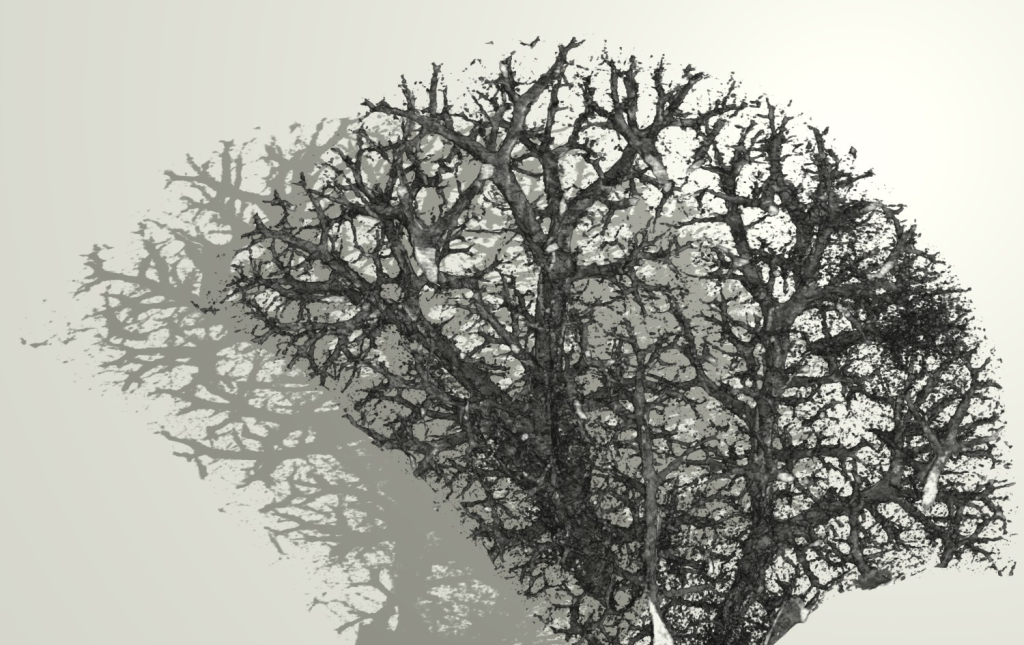Winning image titled Winter’s Anatomy: When Lungs Become Trees, by Claudia Victoria Benke