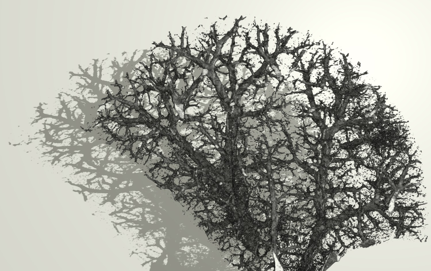 Winning image titled Winter’s Anatomy: When Lungs Become Trees, by Claudia Victoria Benke