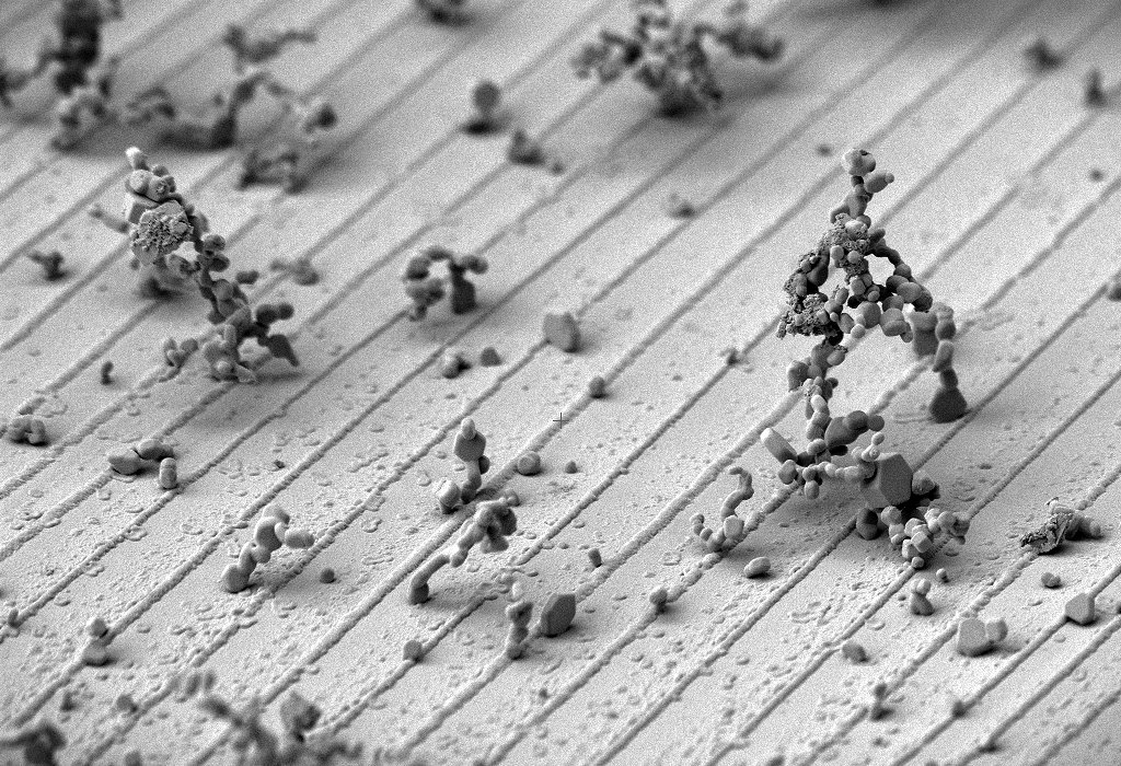 Runner-up image titled Nano Ice Skaters by Hélène Roberge