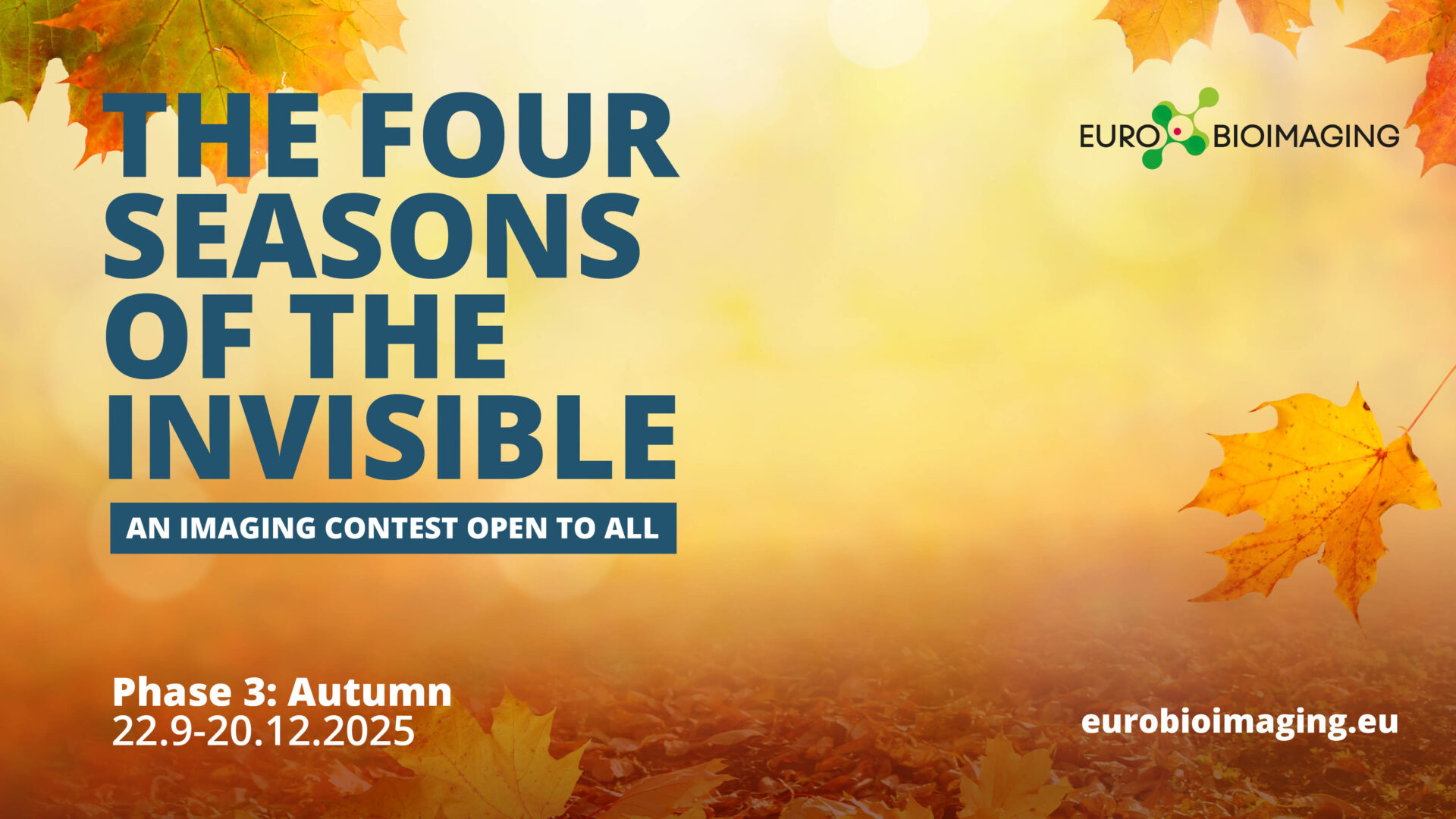Four Seasons of the Invisible Fall contest