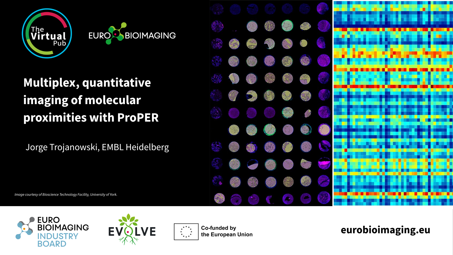 Special Edition Virtual Pub: Spatial Transcriptomics