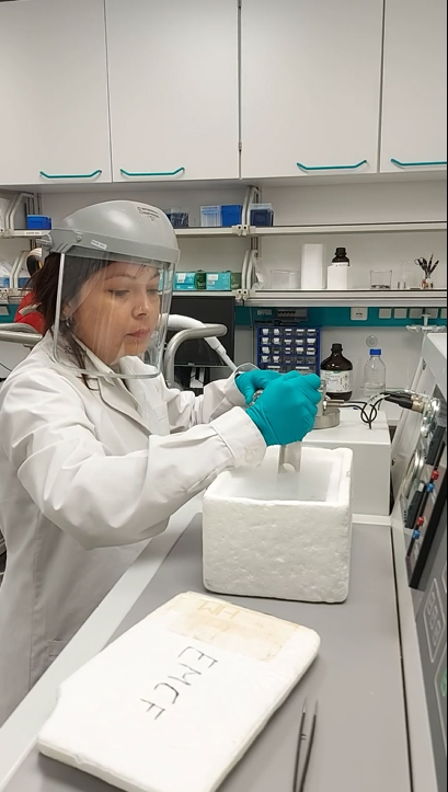 Silvina applies the high-pressure freezing method at EMBL’s EMCF. Photo by Mandy Boermel, Scientific Officer