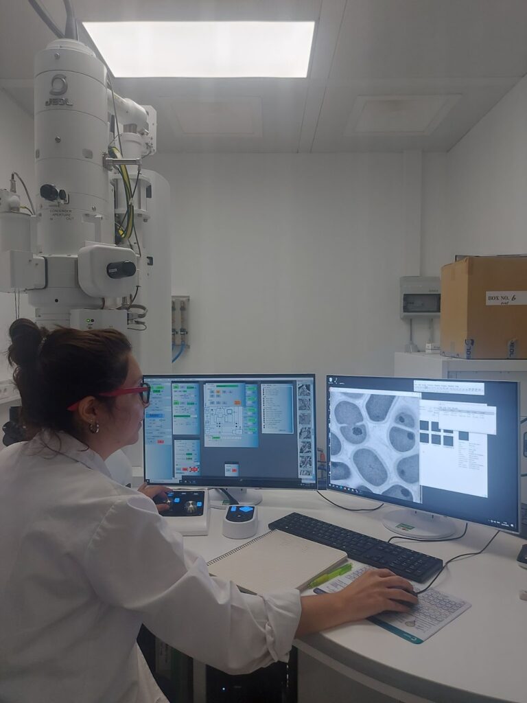 Looking at the Exigobacterium genus. Photo by Rachel Mellwig, Operations Manager, EMBL EMCF.