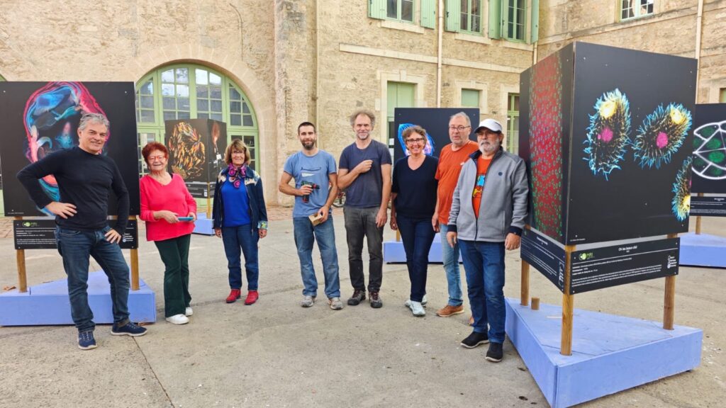 La Vie est Belle! Expo in Pezenas