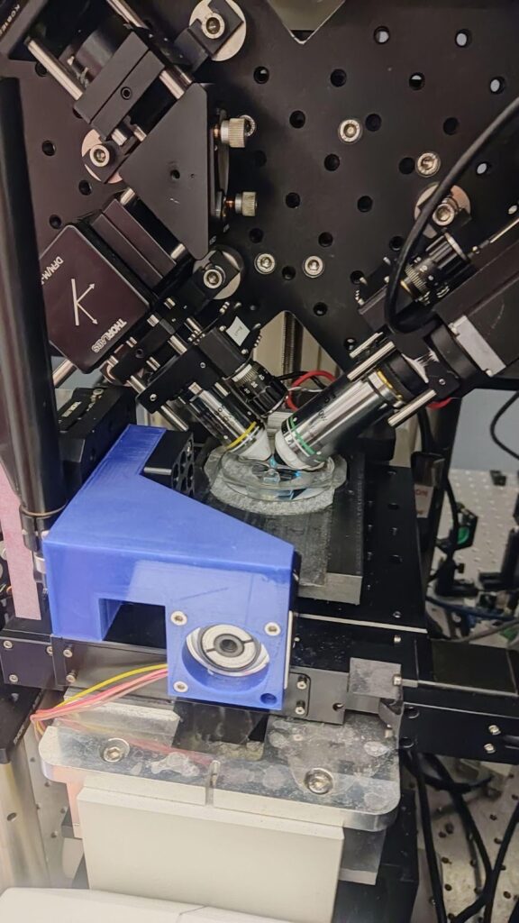 3D iSPIM imaging setup used in Haydee's experiments at ICFO.
