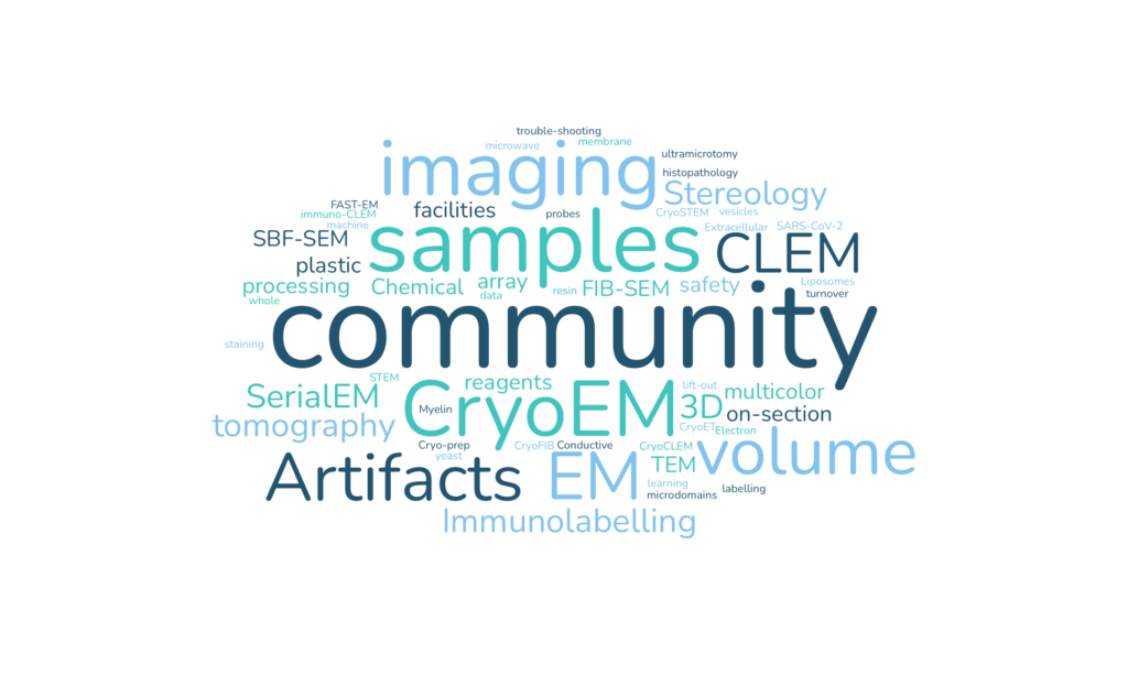 A word cloud of the topics covered by the TechEM seminars. 