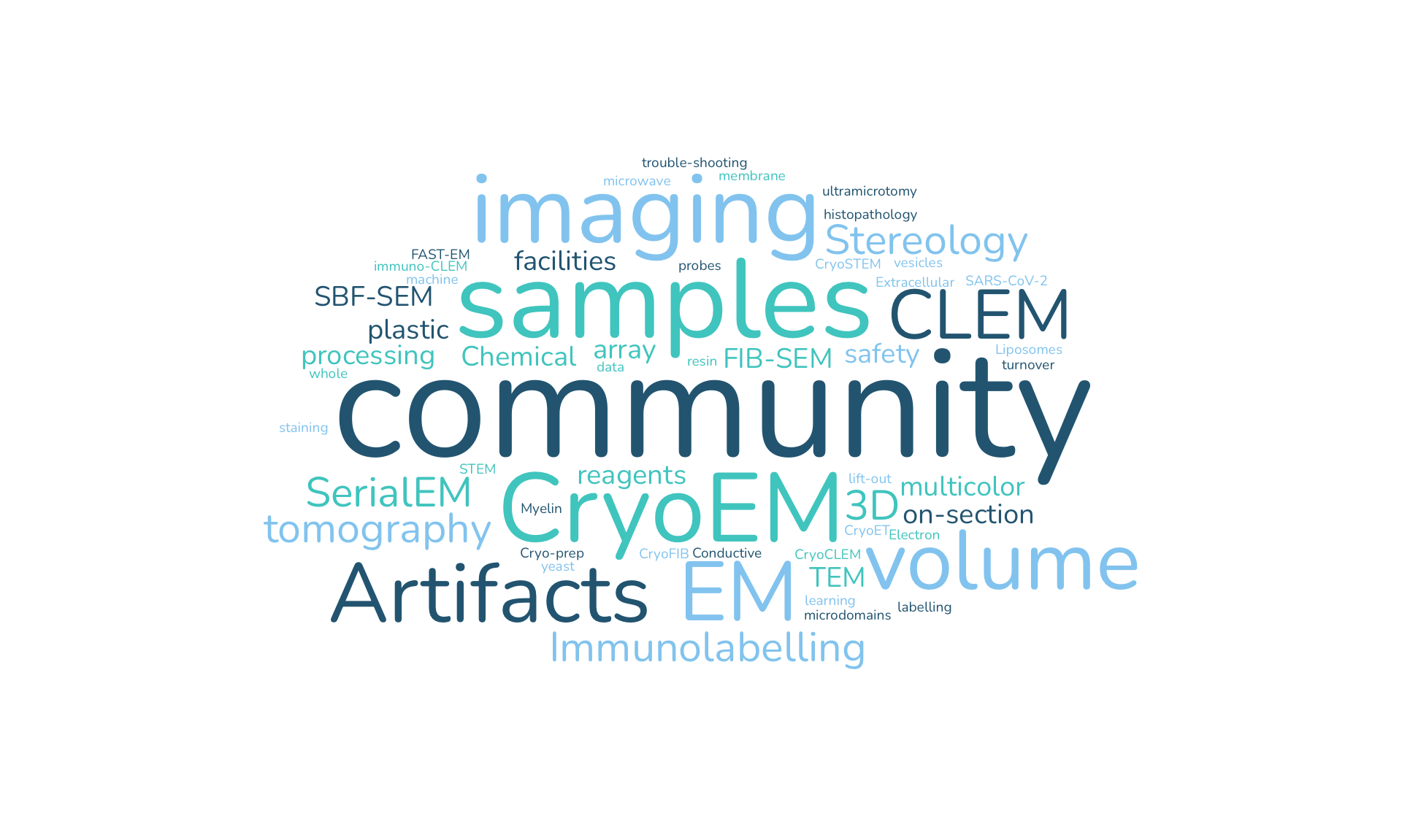 A word cloud of the topics covered by the TechEM seminars.