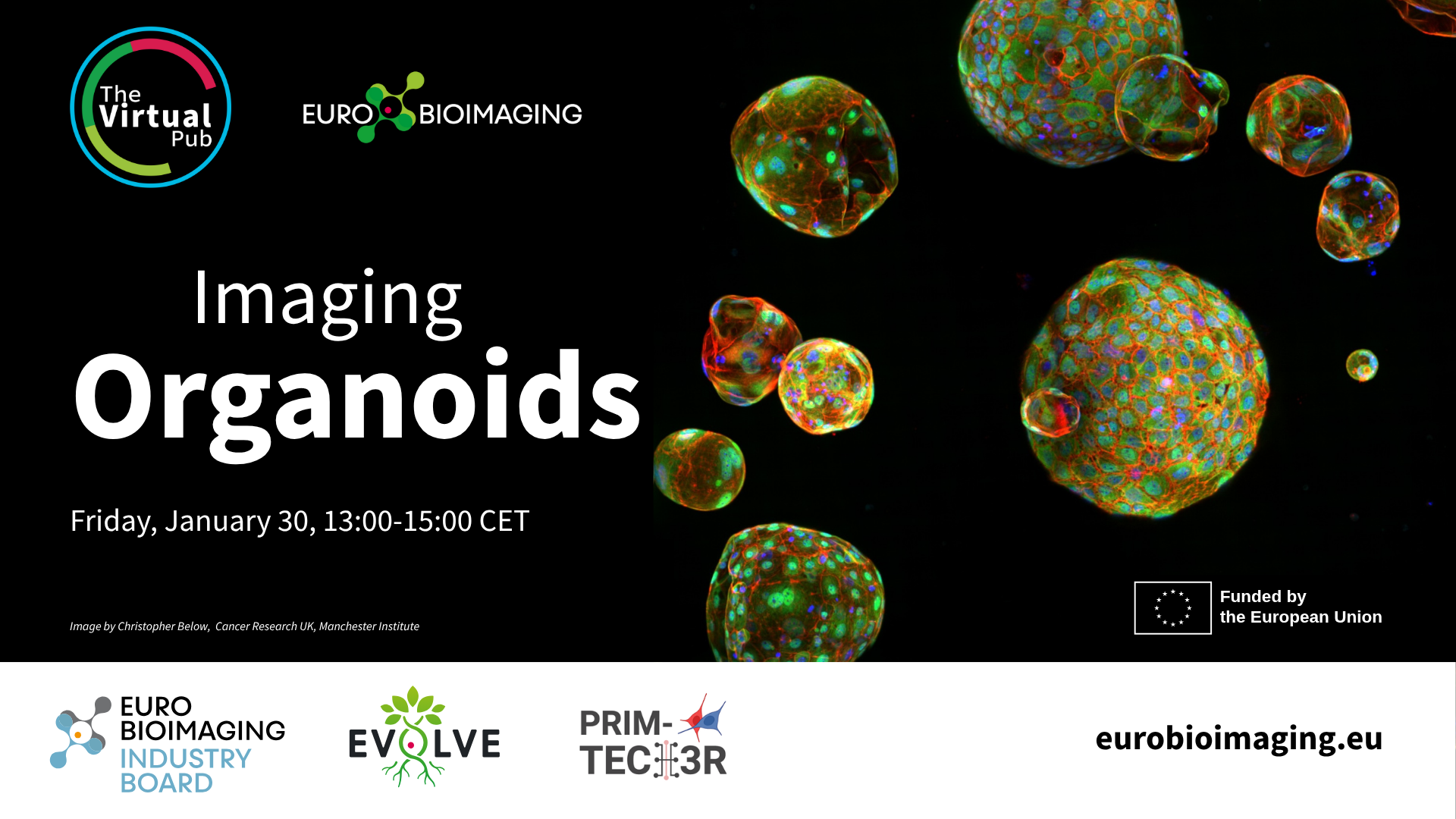 Special edition Virtual Pub Organoids